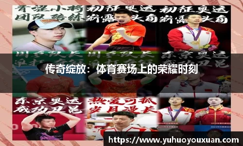 星空综合股份(中国)